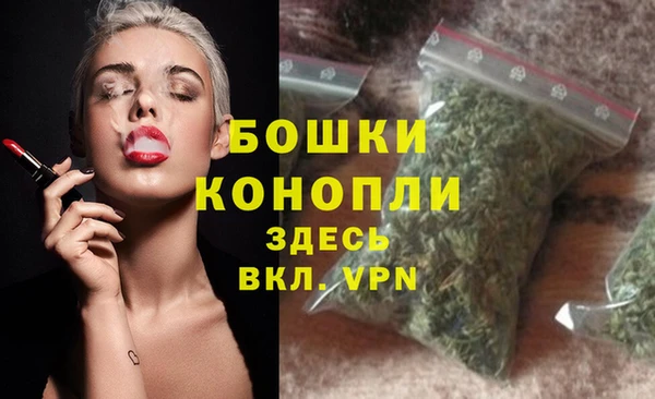 амф Осинники